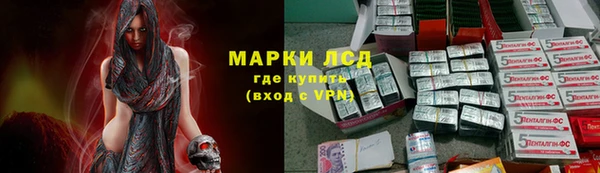 прущие грибы Ладушкин