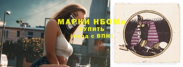 прущие грибы Ладушкин