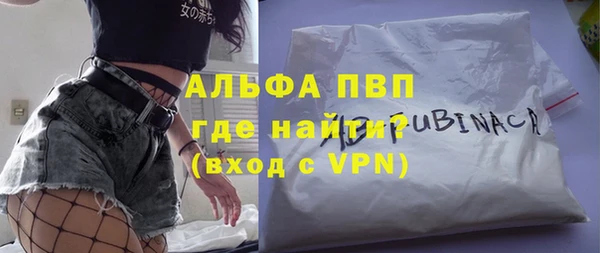 прущие грибы Ладушкин