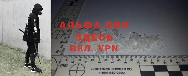 прущие грибы Ладушкин