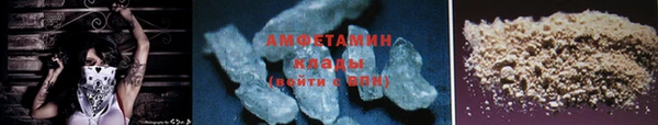прущие грибы Ладушкин