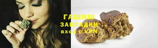 прущие грибы Ладушкин
